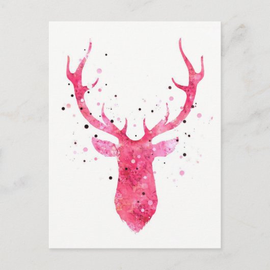 カルテサーフ ポストカード (正面)