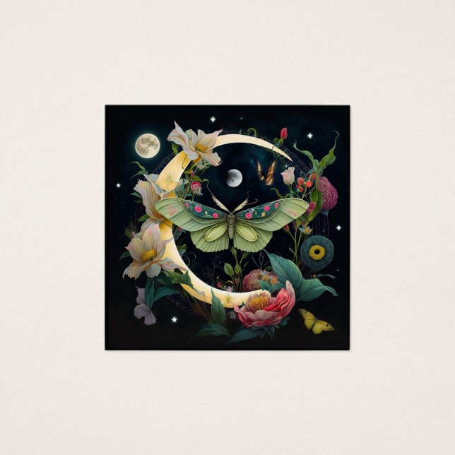 カルテデヴィサイト – パピヨンドヌイット (正面)