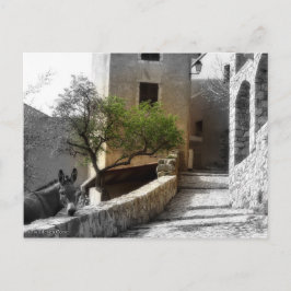 カルテポサーレサントアントニノ ポストカード