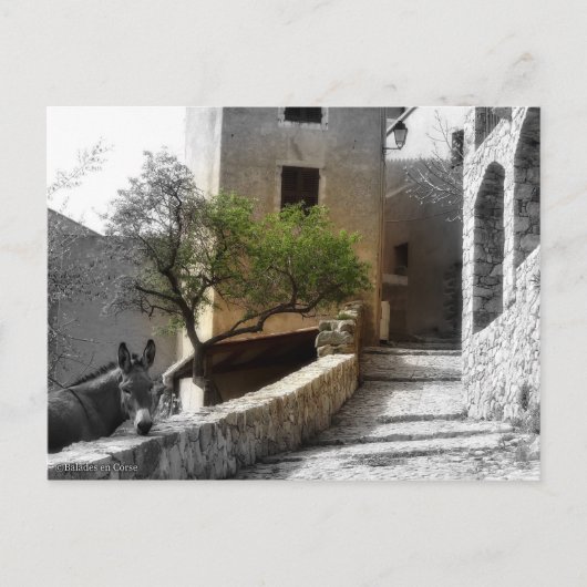 カルテポサーレサントアントニノ ポストカード (正面)