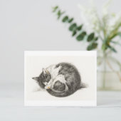 カルテポサーレジョエウアニバーサールチャトン ポストカード (スタンド正面)