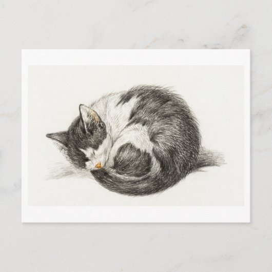 カルテポサーレジョエウアニバーサールチャトン ポストカード (正面)