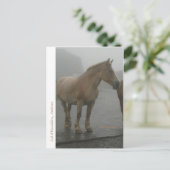 カルテポスタルシュバルラプルイ ポストカード (スタンド正面)