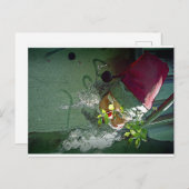 カルテポスタールダーティクリスマス シーズンポストカード (正面/裏面)