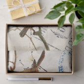 カルテポスタール鳥セット3/4 （ヨーロッパロビン） 薄葉紙 (ギフト)