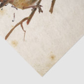 カルテポスタール鳥セット3/4 （ヨーロッパロビン） 薄葉紙 (詳細)