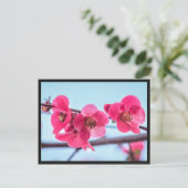 カルテポストアルコグナシアーデュジャポン ポストカード (スタンド正面)