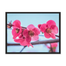 カルテポストアルコグナシアーデュジャポン