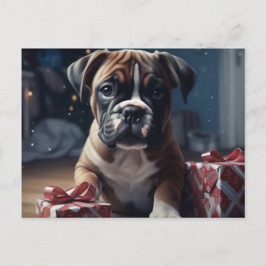 カルテポストアルスパピノエル ポストカード (正面)