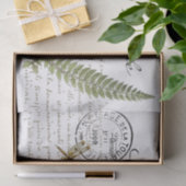 カルテポストアルドラゴンフライフランスのシダのスクリプトヴィンテージ 薄葉紙 (ギフト)