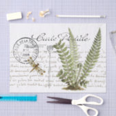 カルテポストアルドラゴンフライフランスのシダのスクリプトヴィンテージ 薄葉紙 (クラフト)