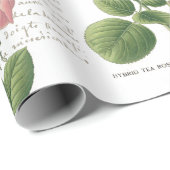 カルテポストアルピンクローズフランスのスクリプトヴィンテージ ラッピングペーパー (ロールコーナー)