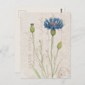 カルテポストアルブルーコーンフラワーフランスのフローラ ポストカード (正面/裏面)
