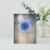 カルテポストアーレシャルドンブルー ポストカード (スタンド正面)