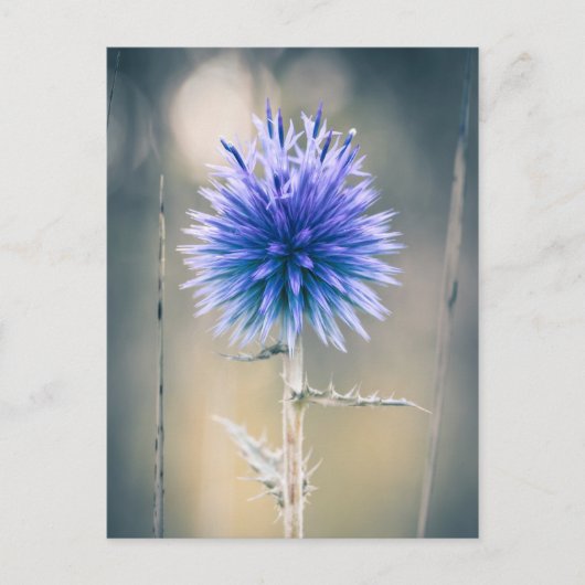 カルテポストアーレシャルドンブルー ポストカード (正面)