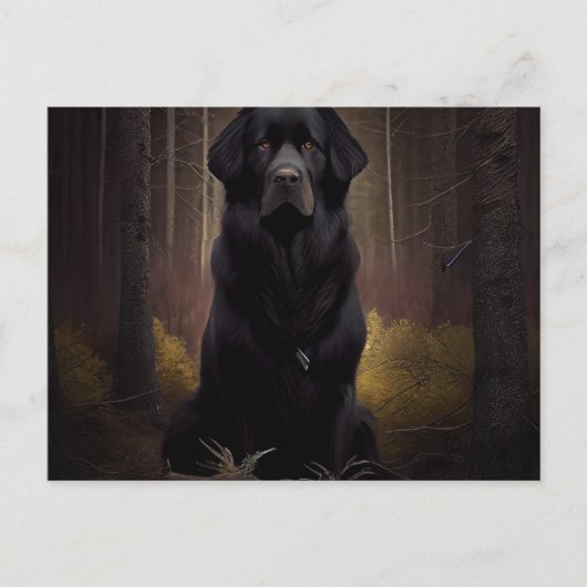 カルテポストアーレチェンダイバーズ ポストカード (正面)