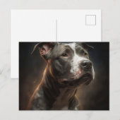 カルテポストアーレチェンダイバーズ ポストカード (正面/裏面)