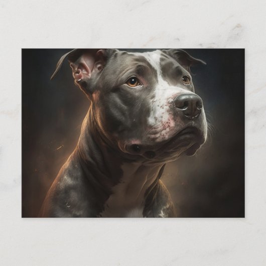 カルテポストアーレチェンダイバーズ ポストカード (正面)