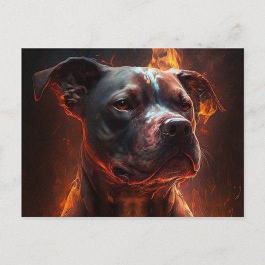 カルテポストアーレチェンダイバーズ ポストカード (正面)