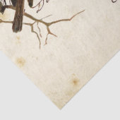 カルテポストアーレバードセット3の4つのヨーロッパロビンス文字 薄葉紙 (詳細)