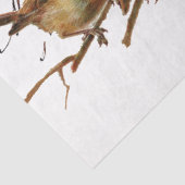 カルテポストアーレバードヨーロビンズフランスのヴィンテージ 薄葉紙 (詳細)