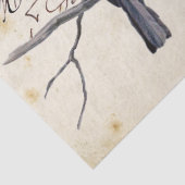 カルテポストアーレブルーバード《鳥》アメリカゴガラフランスの消印 薄葉紙 (詳細)