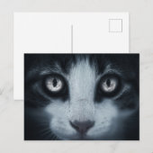 カルテポストエールのアワードデチャット ポストカード (正面/裏面)