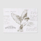 カルテポストエールフランスのバードスクリプトセピア 薄葉紙 (正面)