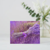 カルテポストエール花束デラバンデス ポストカード (スタンド正面)