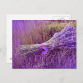 カルテポストエール花束デラバンデス ポストカード (正面/裏面)