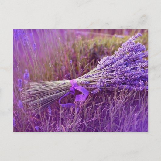 カルテポストエール花束デラバンデス ポストカード (正面)