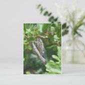 カルテポストエール葉巻 ポストカード (スタンド正面)