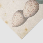 カルテポストエール鳥セット1/4 (ポストマーク卵) 薄葉紙 (詳細)