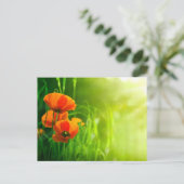 カルテポストエール – フルーアデコケリコット ポストカード (スタンド正面)