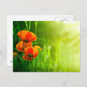 カルテポストエール – フルーアデコケリコット ポストカード (正面/裏面)