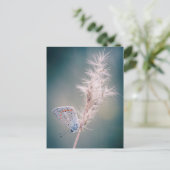 カルテポストパピヨンアルガスブルー ポストカード (スタンド正面)