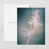 カルテポストパピヨンアルガスブルー ポストカード (正面/裏面)