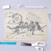 カルテポストレフランスのーソングバーズオンザブランチ 薄葉紙 (クラフト)