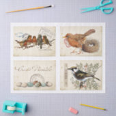 カルテポストレフランスのーバードネストとエッグセット 薄葉紙 (クラフト)