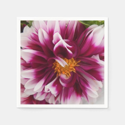 カルテューサリン スタンダードカクテルナプキン (正面)