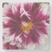 カルテューサリン ストーンコースター (正面)