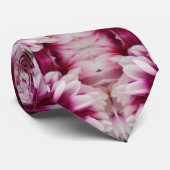 カルテューサリン ネクタイ (ロール)