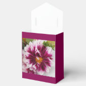 カルテューサリン フェイバーボックス (オープン)