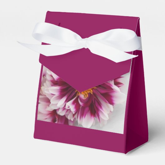 カルテューサリン フェイバーボックス (正面サイド)