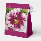 カルテューサリン フェイバーボックス (裏面サイド)