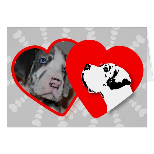 カルテンフュールHre Fotos! (正面横)