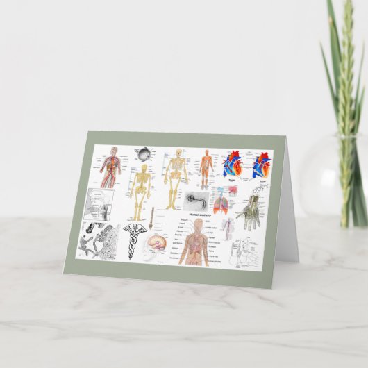 カルテ フルカラー カード (正面)