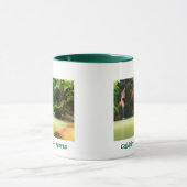 カルデイラベルハ – アゾレスマグ マグカップ (中央)