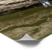 カルデュエリス ポスター (角)