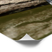 カルデュエリス ポスター (コーナー)